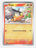 Tepig 029/217 Common Ascended Heroes Pokemon Near Mint