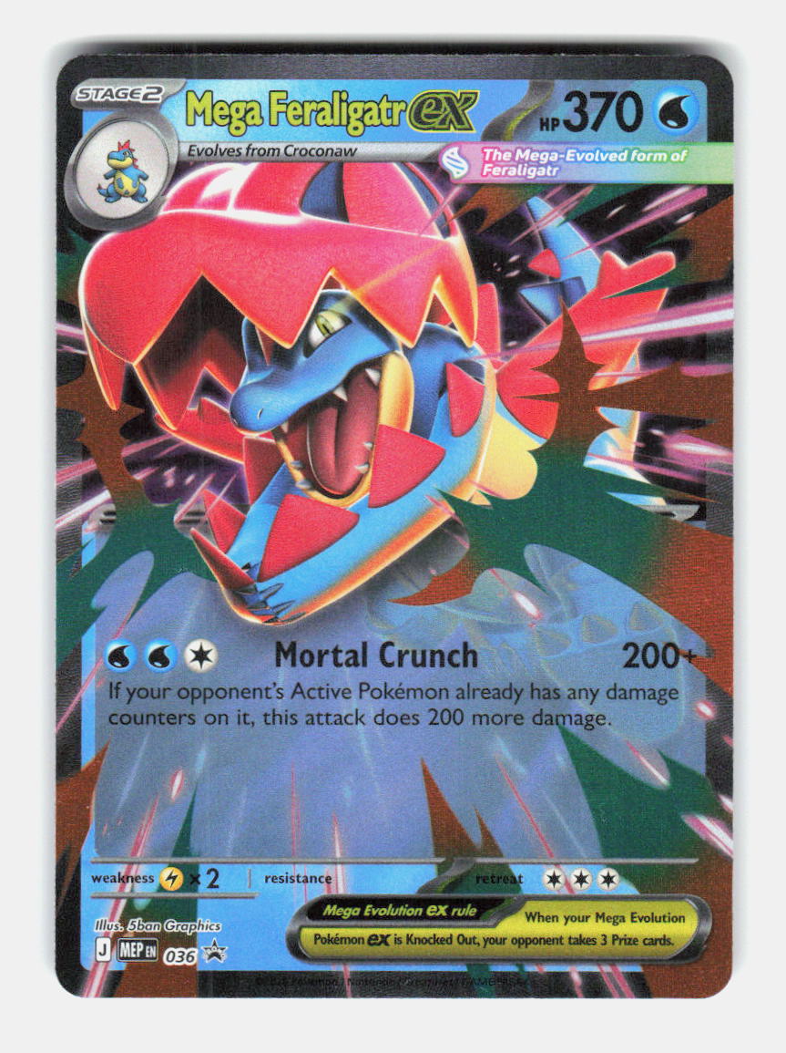 Mega Feraligatr ex 036 Holo Promo Jumbo Cards Pokemon Near Mint
