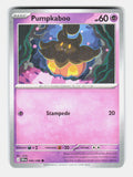 Pumpkaboo 040/086 Common Chaos Rising Pokemon Near Mint