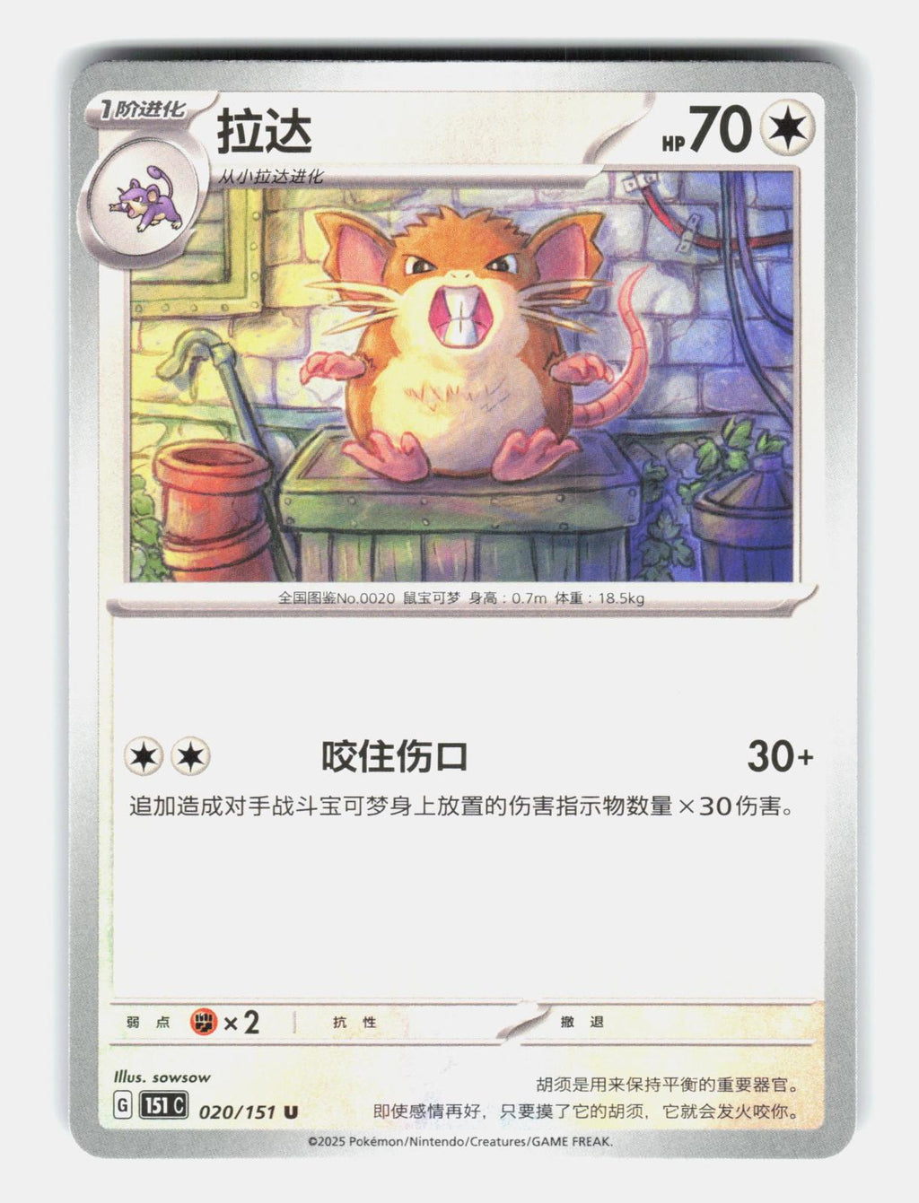 Raticate 020/151 Collect 151 Pokemon Chinese Near Mint