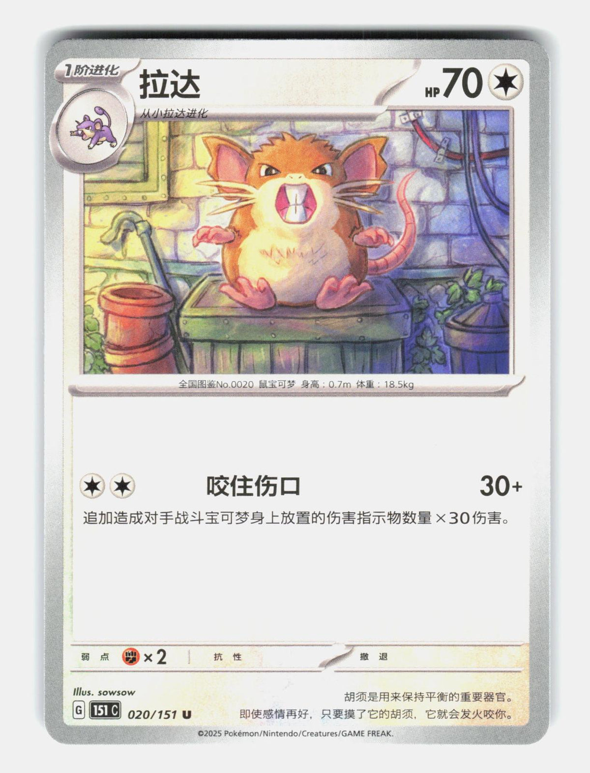 Raticate 020/151 Collect 151 Pokemon Chinese Near Mint