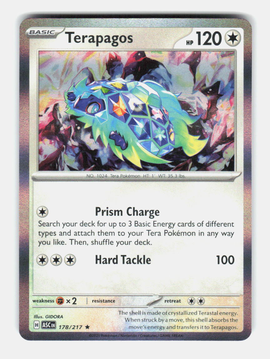 Terapagos 178/217 Rare Ascended Heroes Pokemon Holo Near Mint