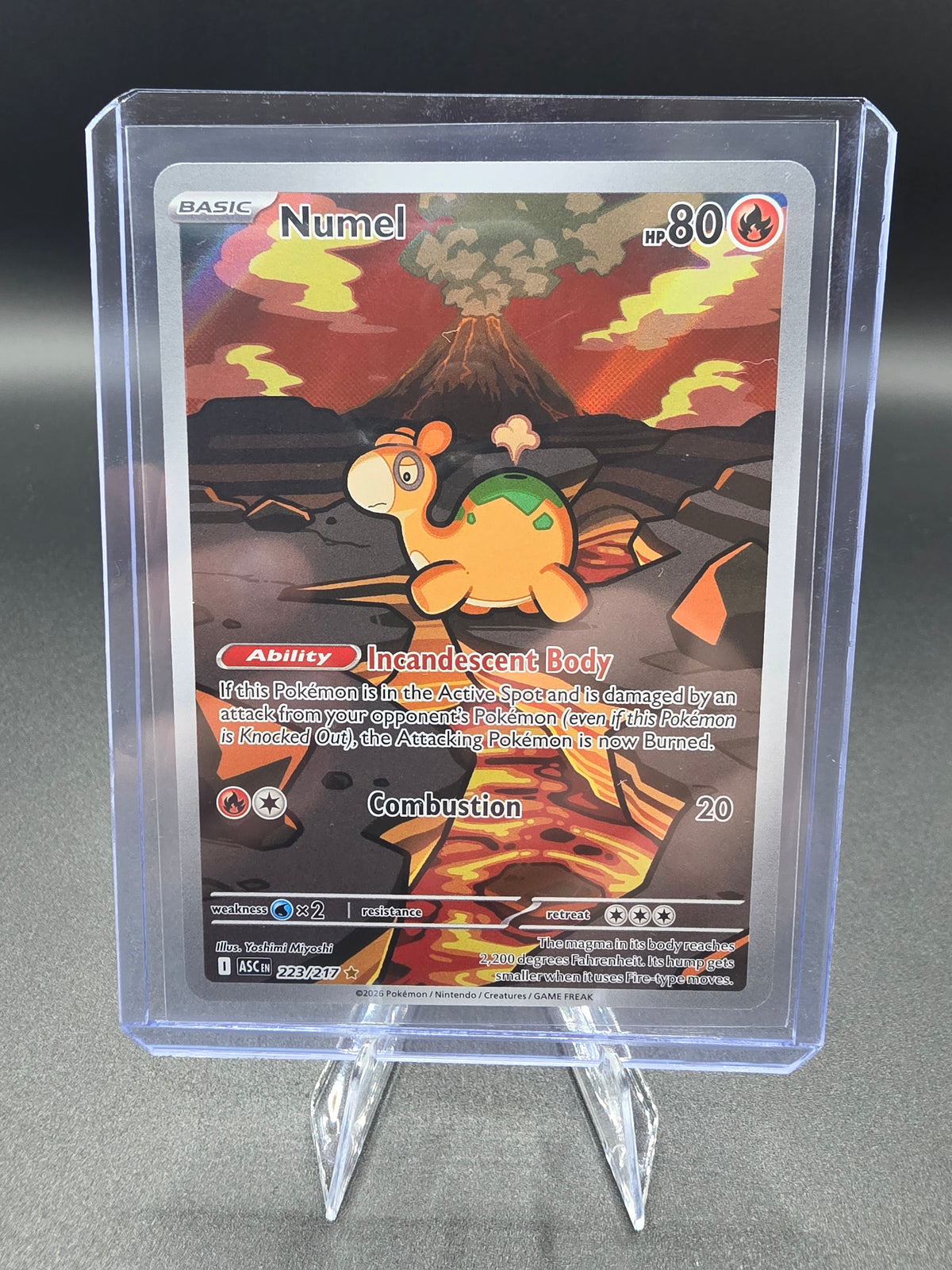 Numel - 223/217 - ME: Ascended Heroes